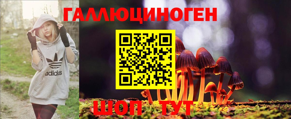 Псилоцибиновые грибы MAGIC MUSHROOMS Кызыл